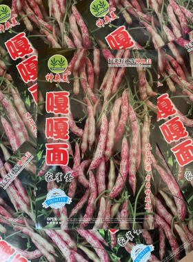 家雀蛋豆角种子夏季蔬呆子包邮