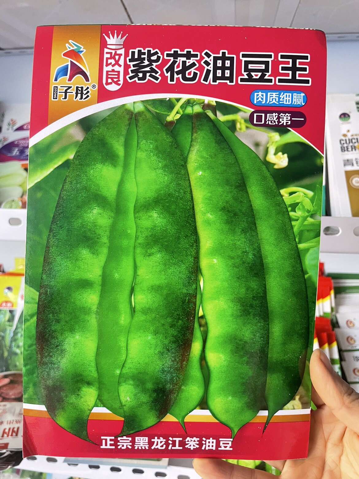 榆树大紫花油豆角种子改良紫花油豆角籽搭架产量高无筋无柴包邮