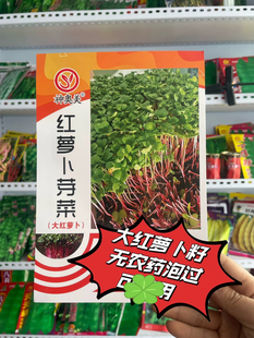 新籽农家东北大红萝卜籽红莱菔籽萝卜种子生籽可芽菜半斤包邮