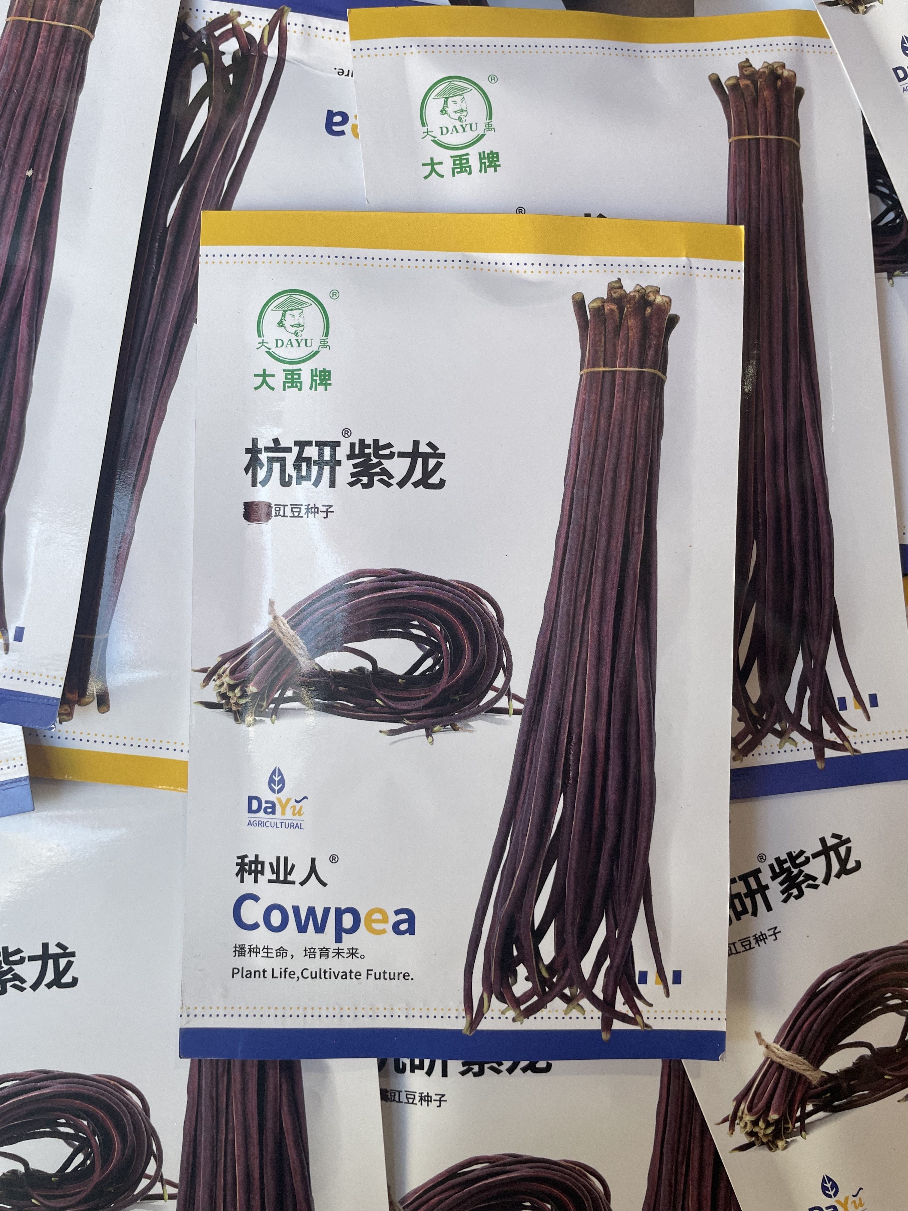 大禹牌杭研紫龙豇豆种子紫红豇豆角种子农家长豆角籽十八豆30克