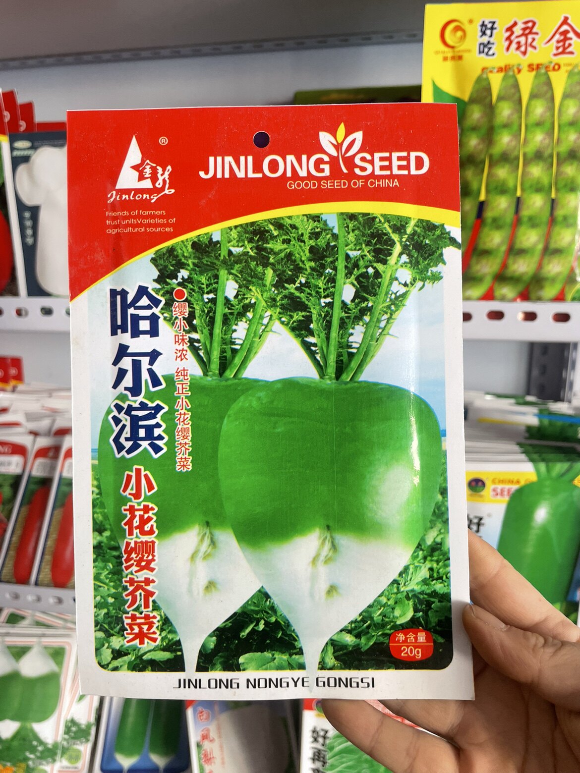 哈尔滨小花英芥菜种子纯正东北花英芥菜疙瘩种子腌咸菜嘎达籽