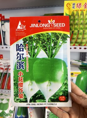 哈尔滨小花英芥菜种子纯正东北花英芥菜疙瘩种子腌咸菜嘎达籽