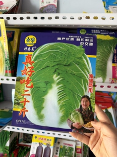 真好吃二十八大白菜种子东北大白菜籽农家大白菜种籽冬储包心菜