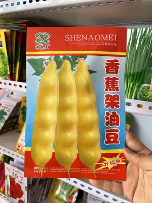 香蕉豆角种子黑粒黄油豆东北特产