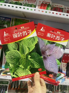 新籽东北农家苏子籽绿叶苏子种苏子种子紫苏种籽组合包邮