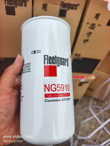 适用于康明斯欧曼天然气发动机滤清器燃气滤芯NG5910滤芯5371001