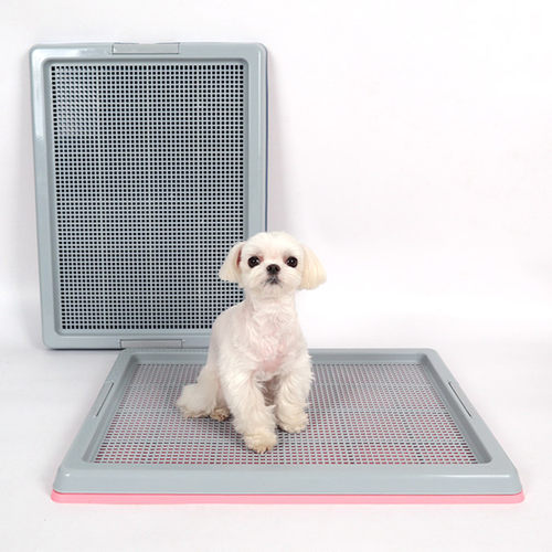 DINGDONGPOET平板厕所