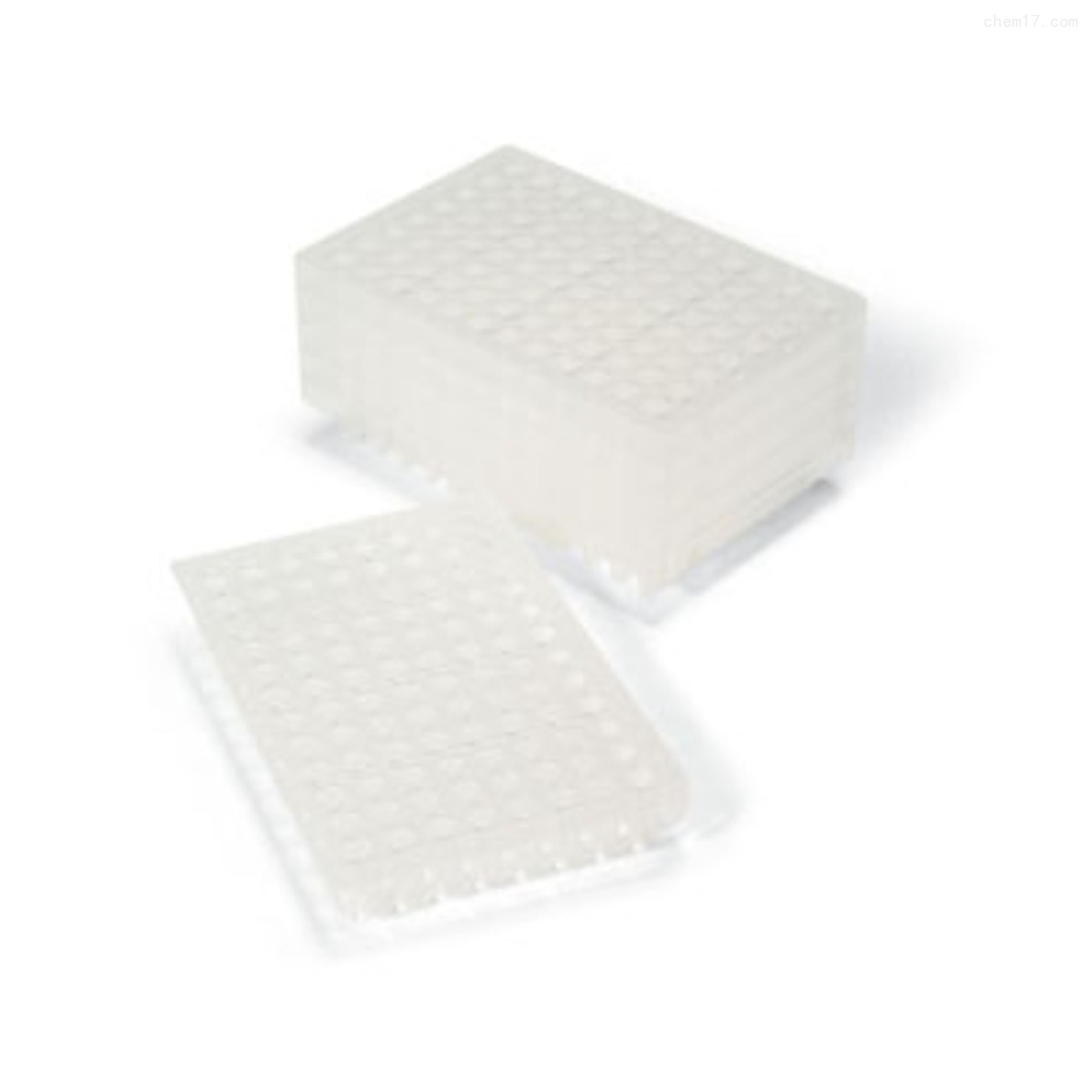 Bio-Rad 2239441 96孔板PCR 板 iQ 96-Well PCR Plates25包