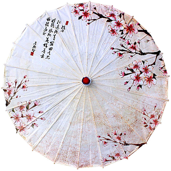 广场舞伞 花伞舞蹈伞道具 演出古典古风走秀装饰跳舞绸布伞