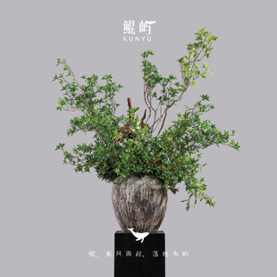 样板间售楼处别墅玄关装 映阶碧草 饰 绿色系绿植仿真花艺 鲲屿