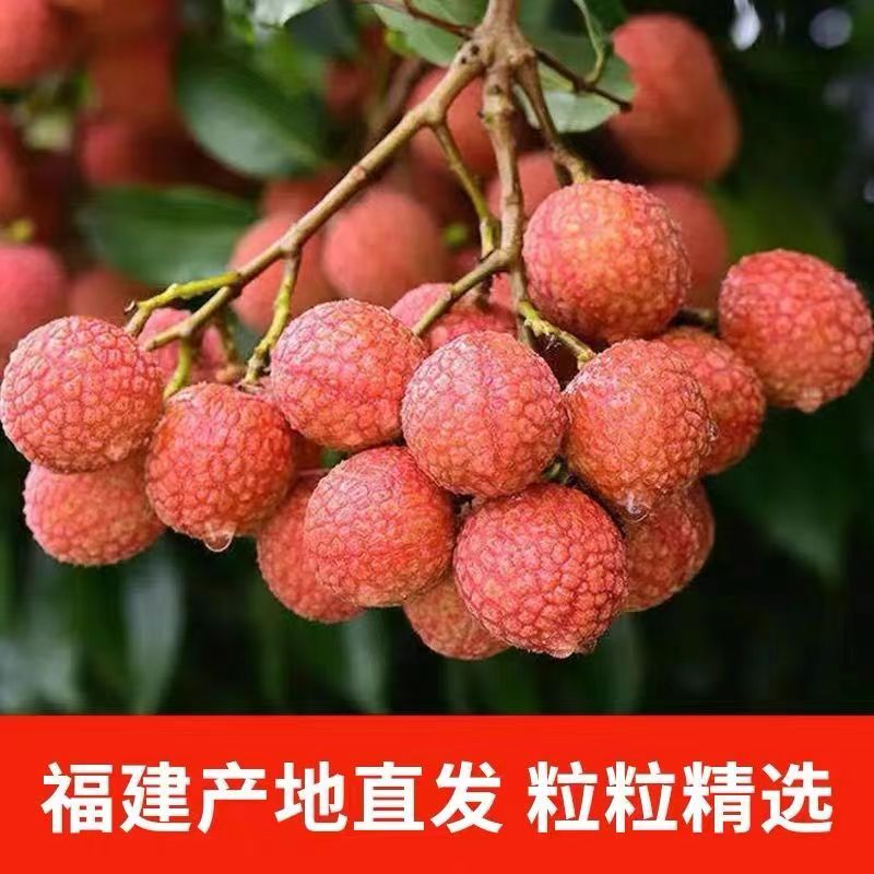 老树荔枝皮薄肉脆4.5-5斤