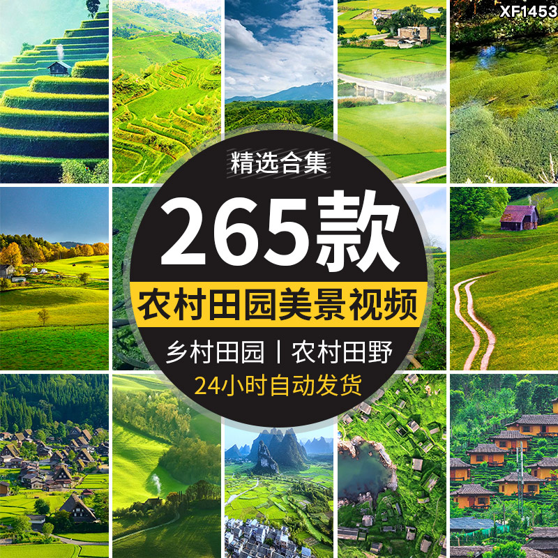 竖屏版农村田园美景农家田野田地乡村治愈系清新绿色抖音视频素材