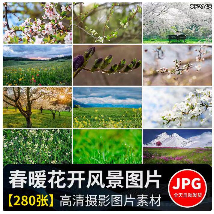 春暖花开唯美春天花朵植物春季初春萌芽发芽开花自然风景图片素材
