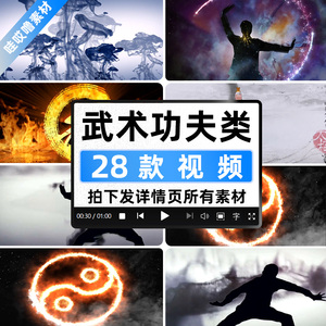 中国风武术表演 南拳北腿 太极拳 水墨少林功夫LED背景视频素材