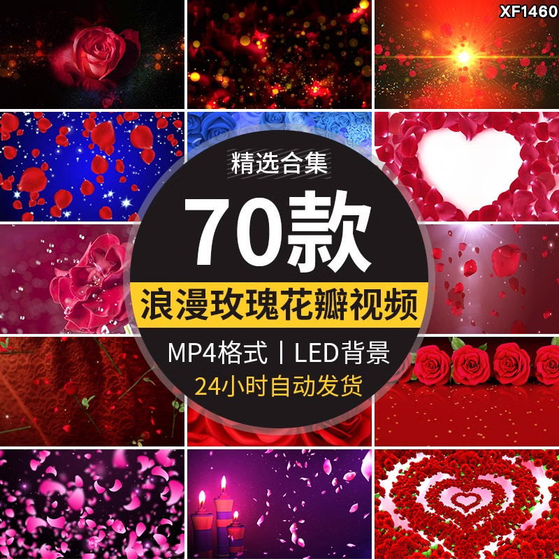 唯美玫瑰花瓣浪漫婚礼情人节表白求婚舞台LED大屏幕背景视频素材