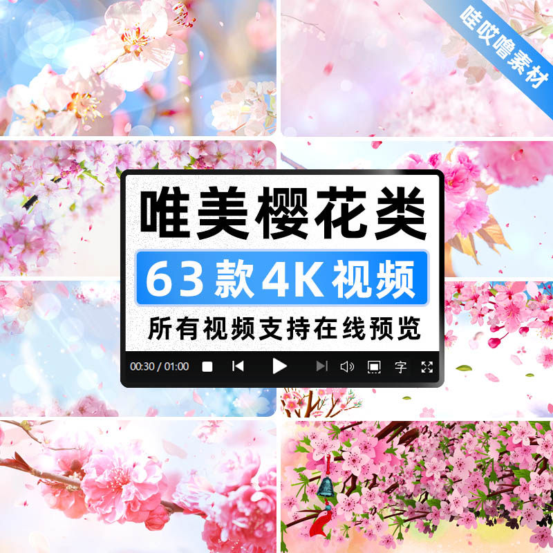 4K唯美樱花浪漫花瓣飞舞 婚礼晚会舞台LED大屏幕背景动态视频素材