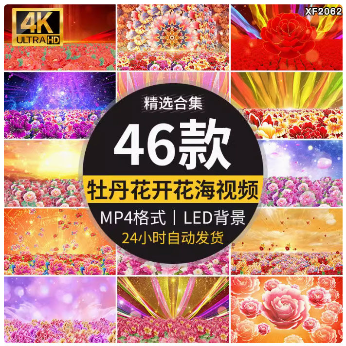 富贵牡丹花开盛世喜庆花海民族舞蹈舞台演出开场LED背景视频素材