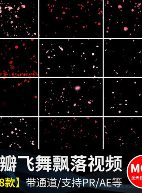 花瓣花朵飞舞飘落动态桃花玫瑰花特效动画pr/ae透明通道视频素材