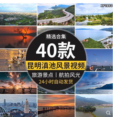 云南昆明滇池湖泊风光王官湿地公园风景西山红嘴鸥旅游短视频素材