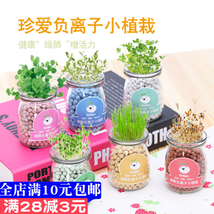Ë®ÅàÅèÔÔ´´Òâ°ì¹«ÊÒDIY¸ºÀë×ÓСÅè¾° ×ÀÃæÃÔÄã¿É°®Ð¡²Ý΢¾°¹ÛÖ²Îï