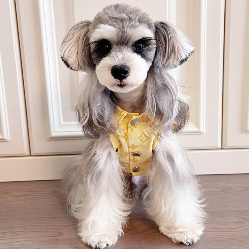 大中小型犬牛仔馬甲經典時尚老花