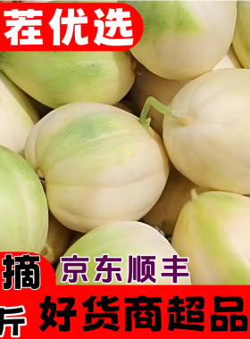 东北头茬甜瓜新鲜现摘应季水果