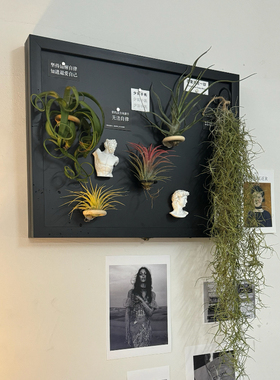 磁吸电表箱黑板DIY免打孔遮挡配电箱墙面遮丑磁吸空气凤梨ins风