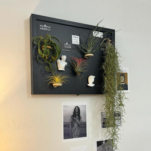 磁吸电表箱黑板DIY免打孔遮挡配电箱墙面遮丑磁吸空气凤梨ins风