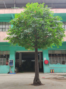仿真香樟树大型玻璃钢假樟树工程造景装饰户外小区摆件影视道具树