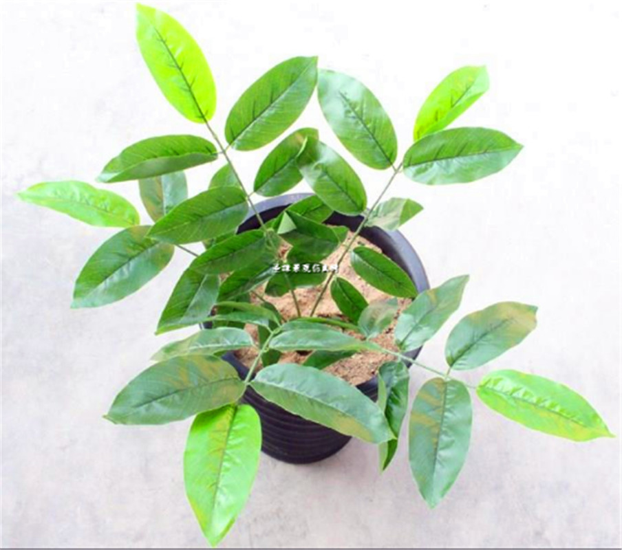 仿真核桃叶把束叶假植物装饰叶子核桃树叶假绿植摆放工程塑料树枝