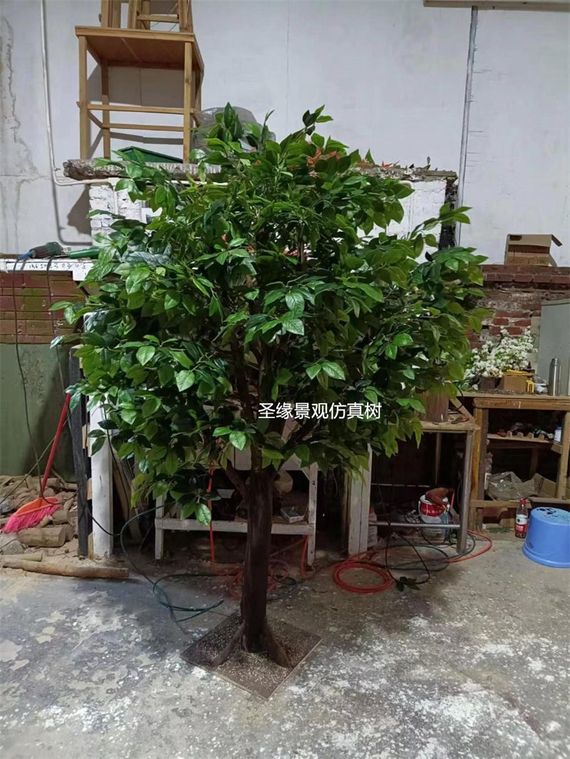 仿真茶树山茶树假山茶花树定制实木树干造型假树茶叶树家居假绿植