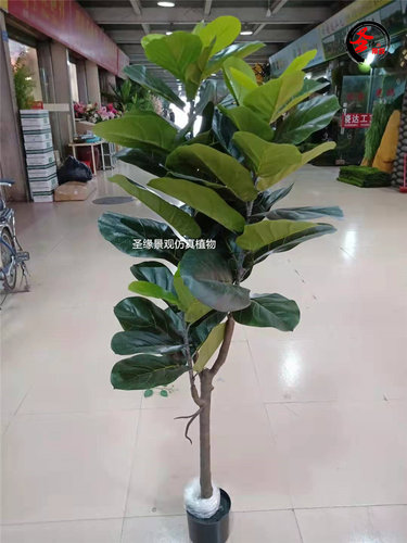 琴叶榕室内装饰盆栽仿真植物