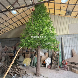 仿真落羽杉树水杉树大型玻璃钢杉树室内外工程造景装饰落地摆件树