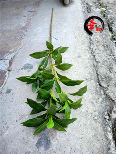 仿真马醉木叶子森系吊钟叶单只假树枝餐厅客厅绿植插花花材仿生叶