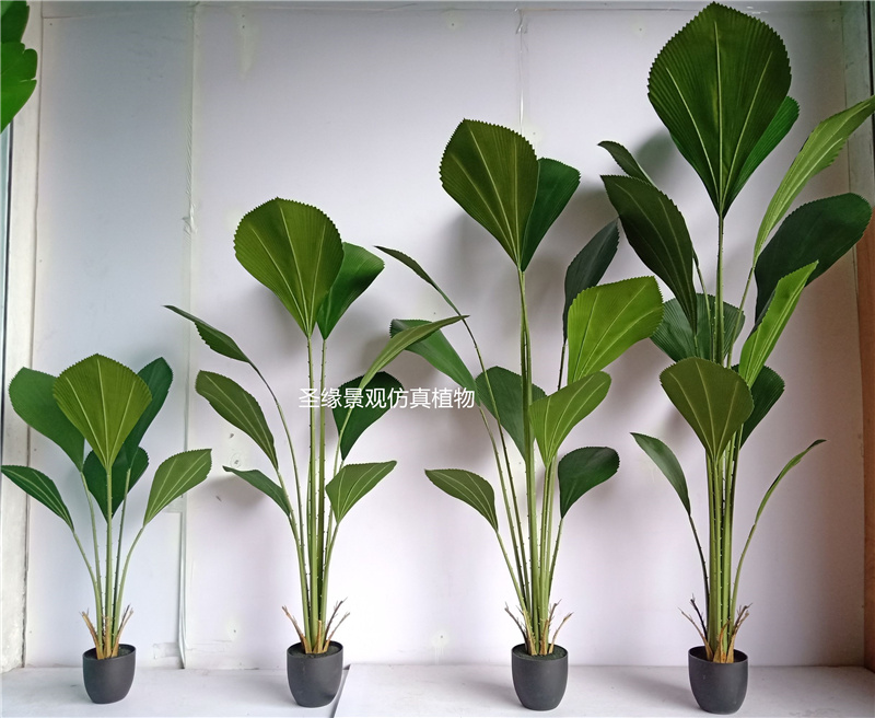 ab仿真苏门答腊棕树盆景森系造景假绿植大叶植物落地装饰北欧摆件