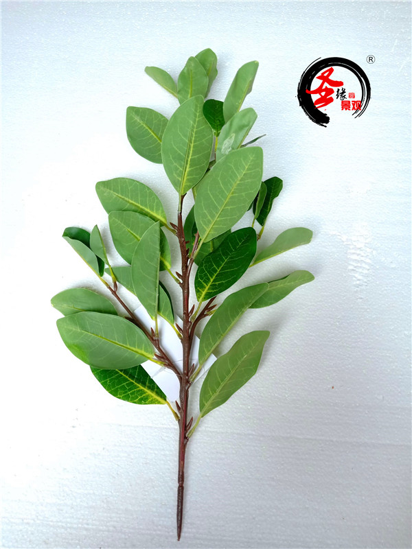 仿真可可树叶假红树林秋茄树叶假塑料树枝叶子博物馆造景工程装饰