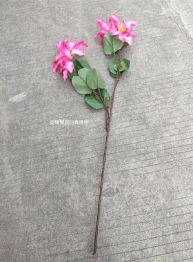 仿真紫荆花枝单只香港紫荆花