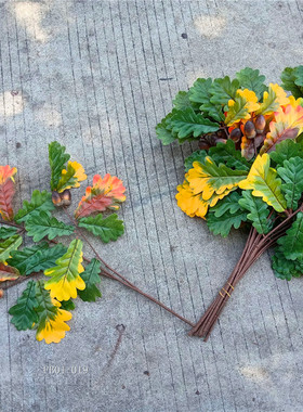 仿真栎树叶橡果树叶夏栎树叶子树枝坚果叶锯齿树叶子柞树叶工程叶