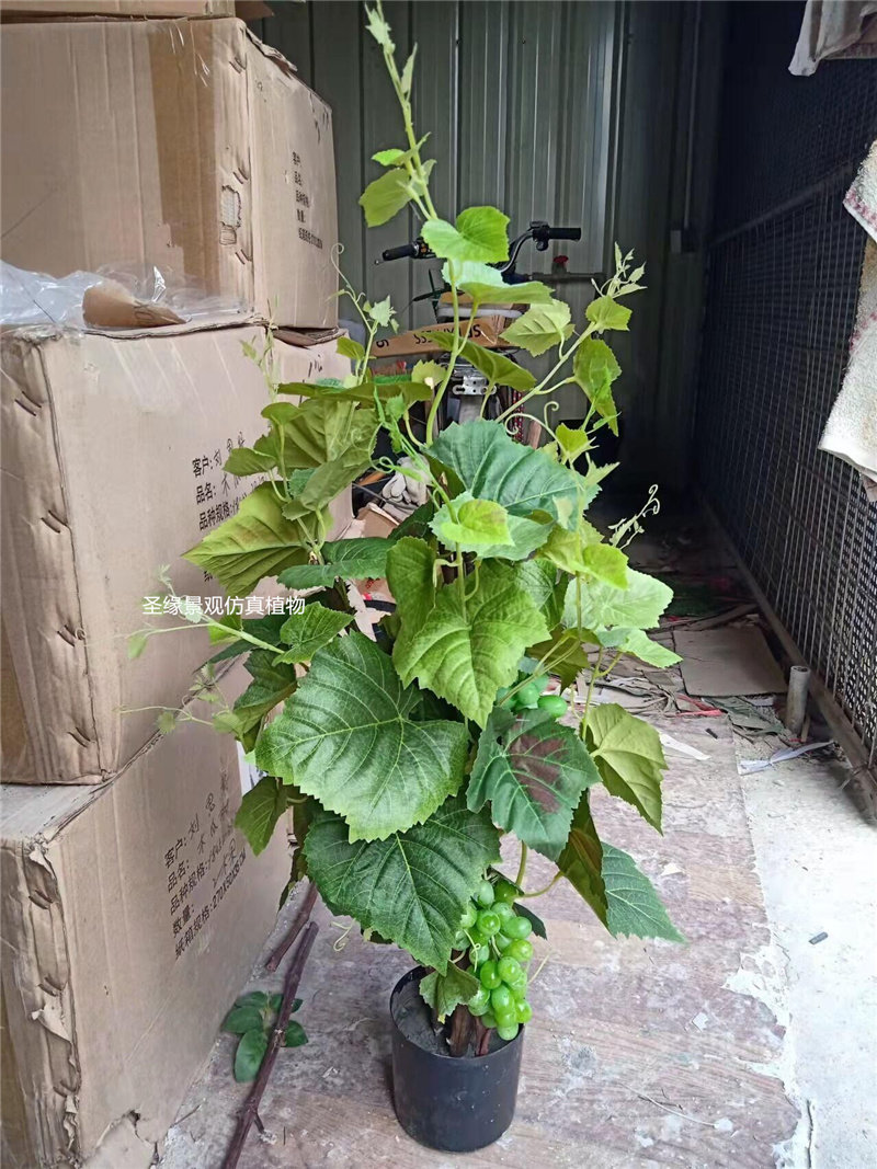仿真葡萄树盆栽假葡萄藤爬藤缠绕庭院葡萄架农家乐庄稼道具装饰