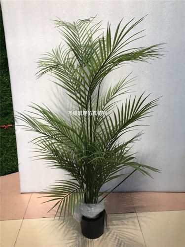 ab散尾葵仿真树1米绿植假盆栽