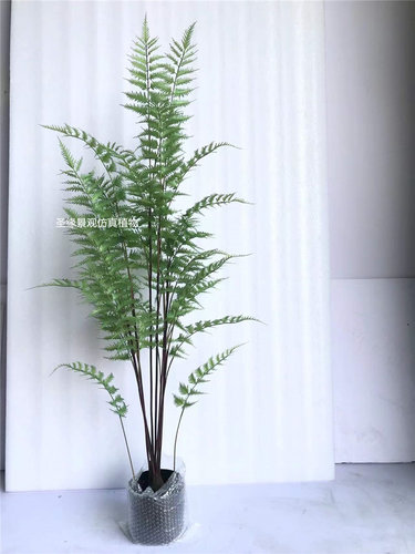 ab仿真蕨树盆栽羽叶桫椤植物