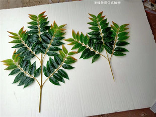 仿真椿树叶天堂树叶香椿叶臭椿叶假树枝工程造景叶子乔木绿植装饰