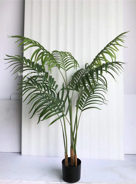ab仿真贵妃葵1.2米散尾葵凤尾竹葵天竺葵热带造景装饰假绿植盆栽