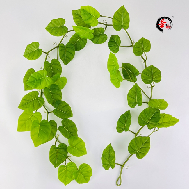 仿真龟背藤条裂口竹芋万年青叶藤