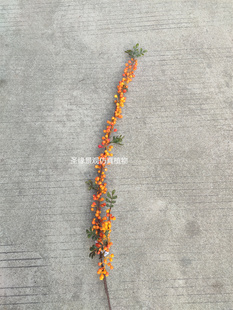 仿真浆果枝小圆豆红豆枝相思豆冬青枝沙棘果枝北美冬青果枝塑料花