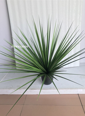 ab仿真剑兰草盆栽红色绿色假绿植橱窗店铺装饰摆件网红绿植芦苇草