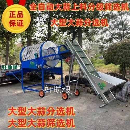 全自动大蒜分选机高效蒜