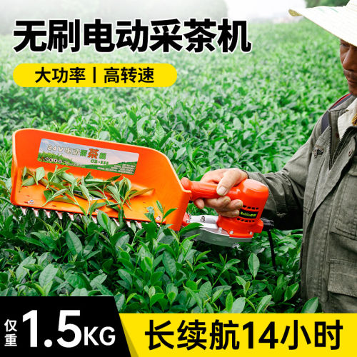无刷电动采茶机神器充电