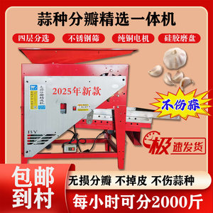 大蒜分瓣筛选一体机蒜种