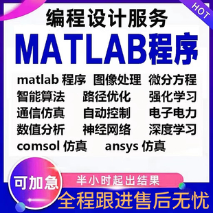 Matlab代编程序python深度机器学习神经网络图像处理通信仿真算法